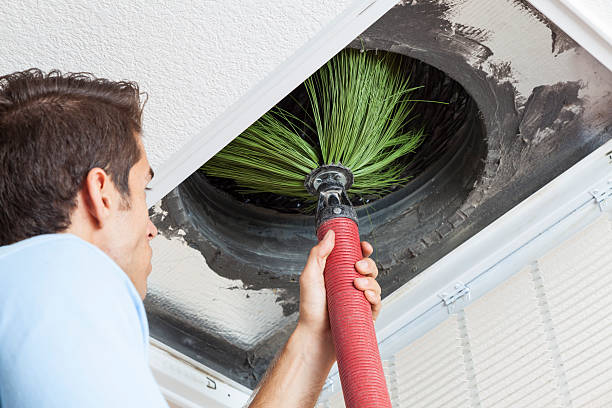 Best Ductwork Cleaning Services  in Tonka Bay, MN
